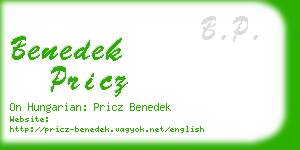 benedek pricz business card